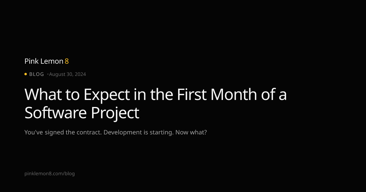 What to Expect in the First Month of a Software Project | Pink Lemon8